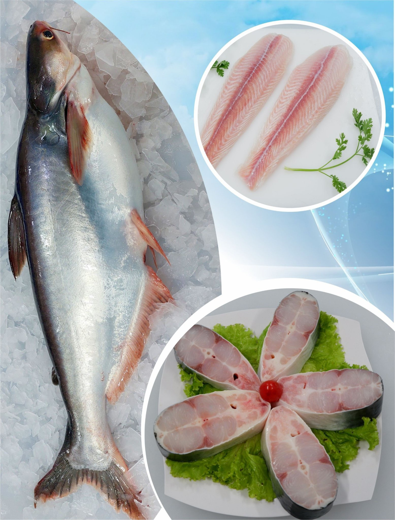 <span  class="uc_style_uc_tiles_grid_image_elementor_uc_items_attribute_title" style="color:#ffffff;">Frozen Pangasius Products</span>